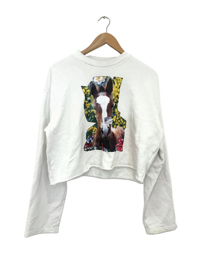 Acne Studios Pony Graphic Sweatshirt