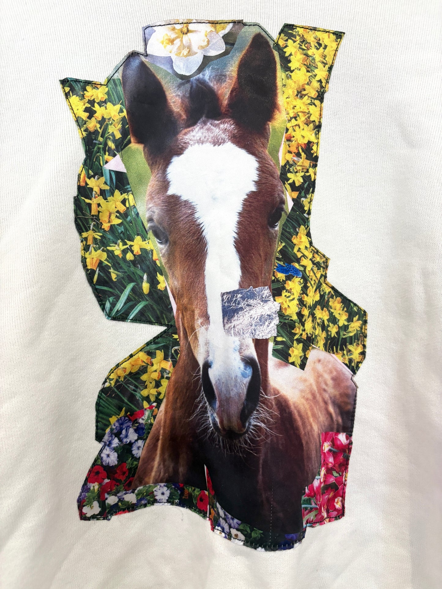 Acne Studios Pony Graphic Sweatshirt S