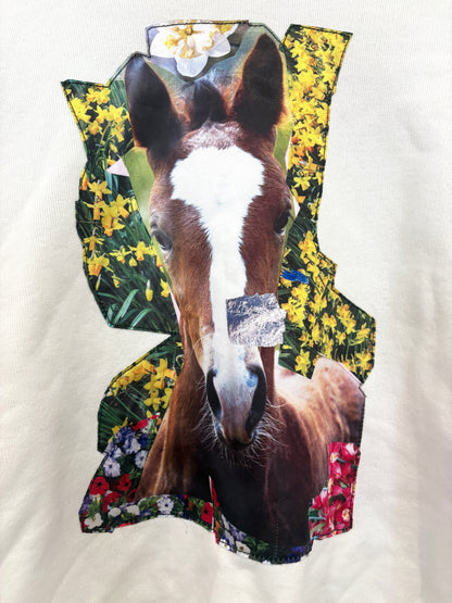 Acne Studios Pony Graphic Sweatshirt S