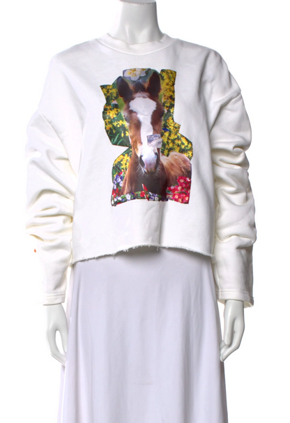 Acne Studios Pony Graphic Sweatshirt S